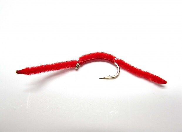 San Juan worm (copy)